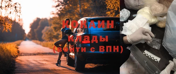 СК Волосово