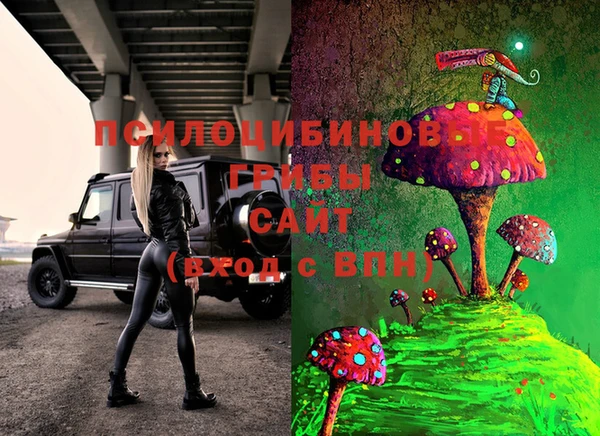 СК Волосово