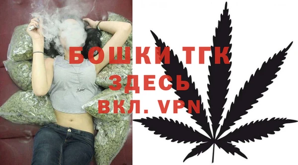 СК Волосово