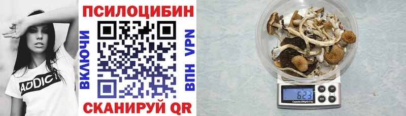 Псилоцибиновые грибы Cubensis  купить  сайты  Магас 